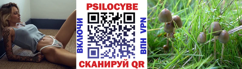 Купить закладки  Дюртюли  Галлюциногенные грибы Psilocybine cubensis 